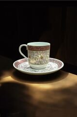 Dm Porselen Kadife Kutulu Yeni Haliç 2'li Kahve Fincan Takımı-Pembe